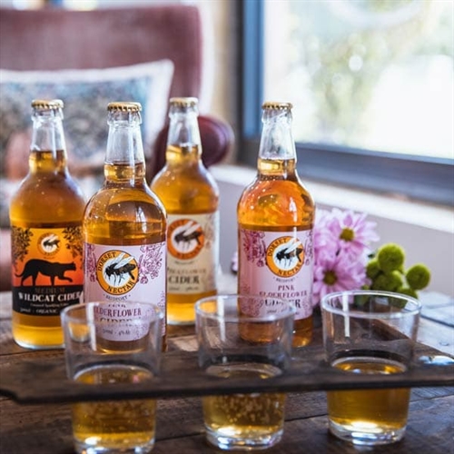 Cider Farm Tour & Tasting for Two at Bridport in Dorset  Cider Farm Tour & Tasting for Two at Bridport in Dorset